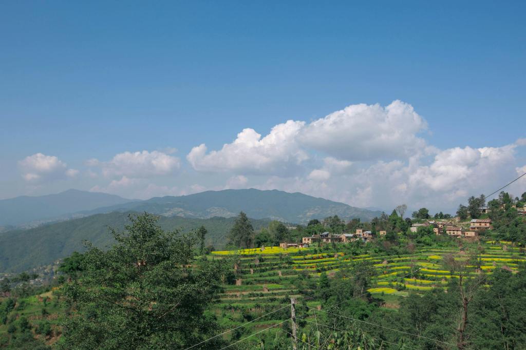 A view of vibrant green terraces and rolling hills set in front of a blue sky, in Dhulikhel.